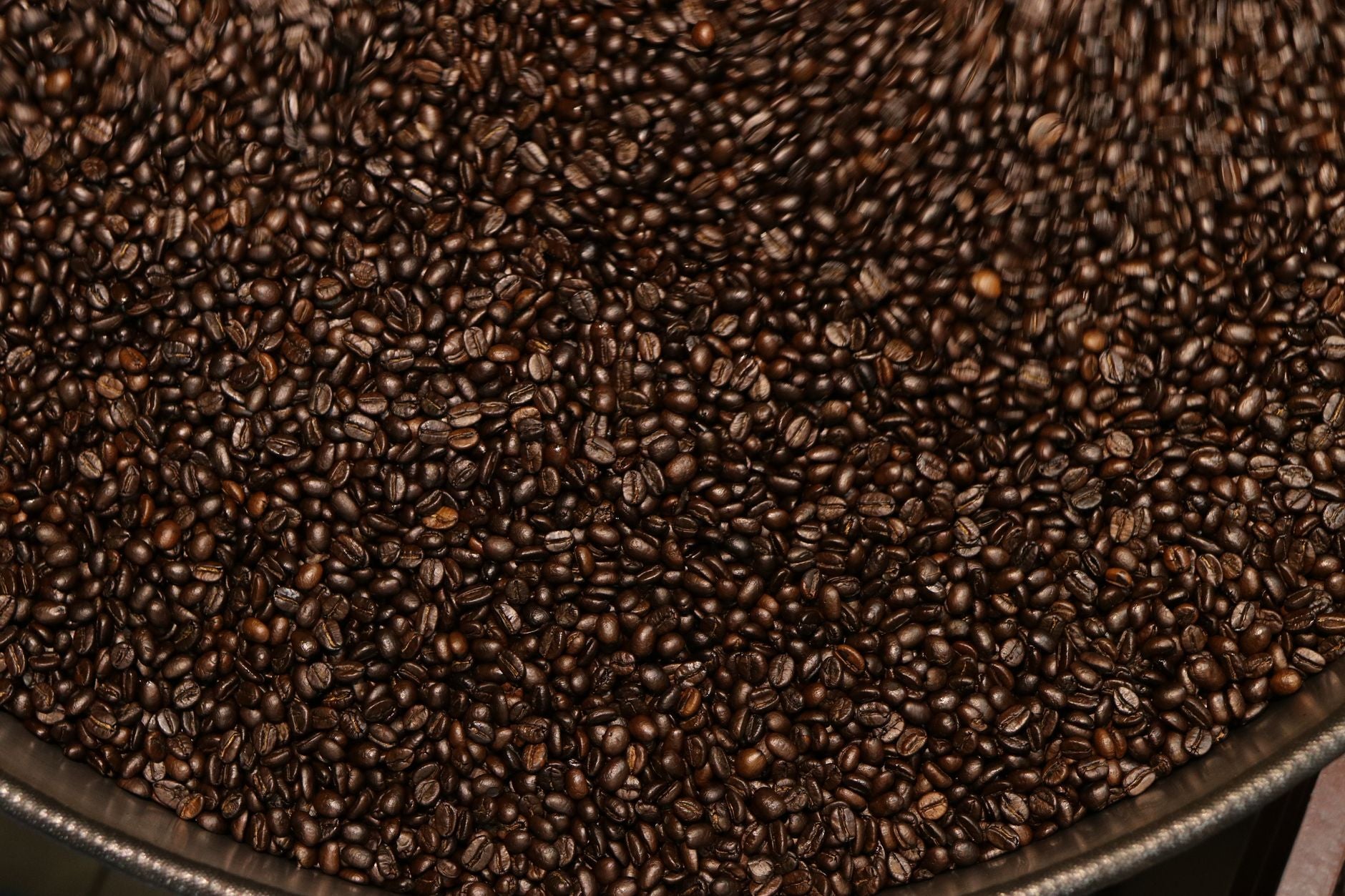 Whole Bean vs. Ground Coffee: Which Is Best for Your Brew?