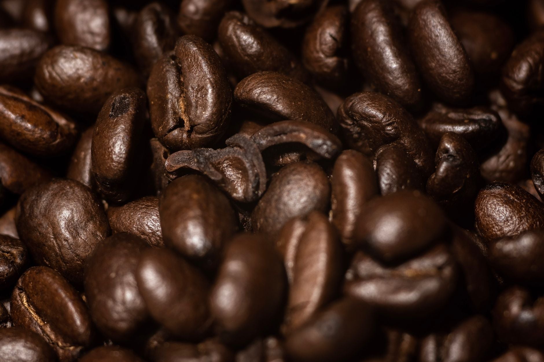 A Coffee Tasting Guide: How to Find Notes of Rich, Smooth Flavor