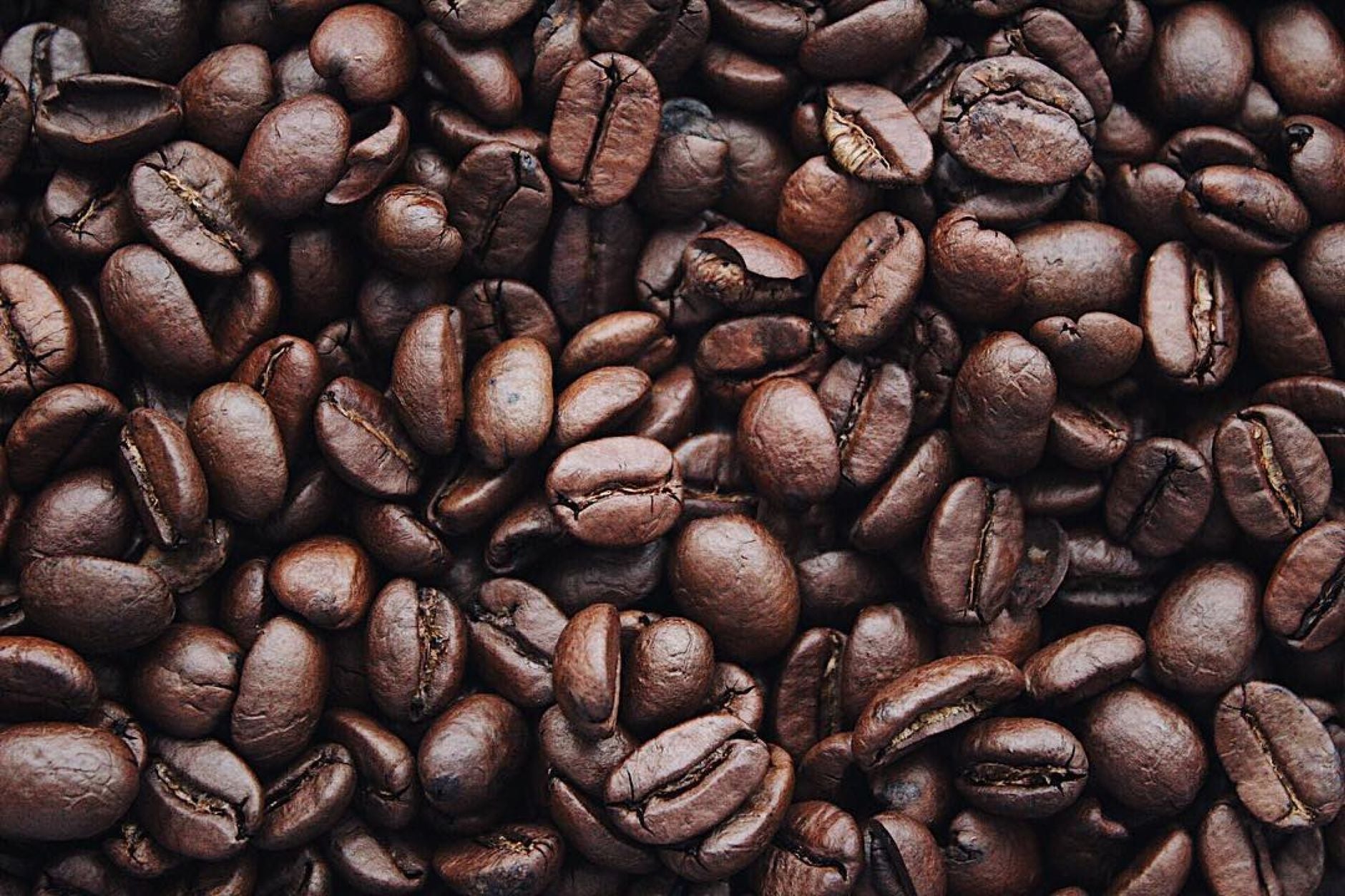 Guide to Lion's Mane Coffee Benefits in Staten Island, New York