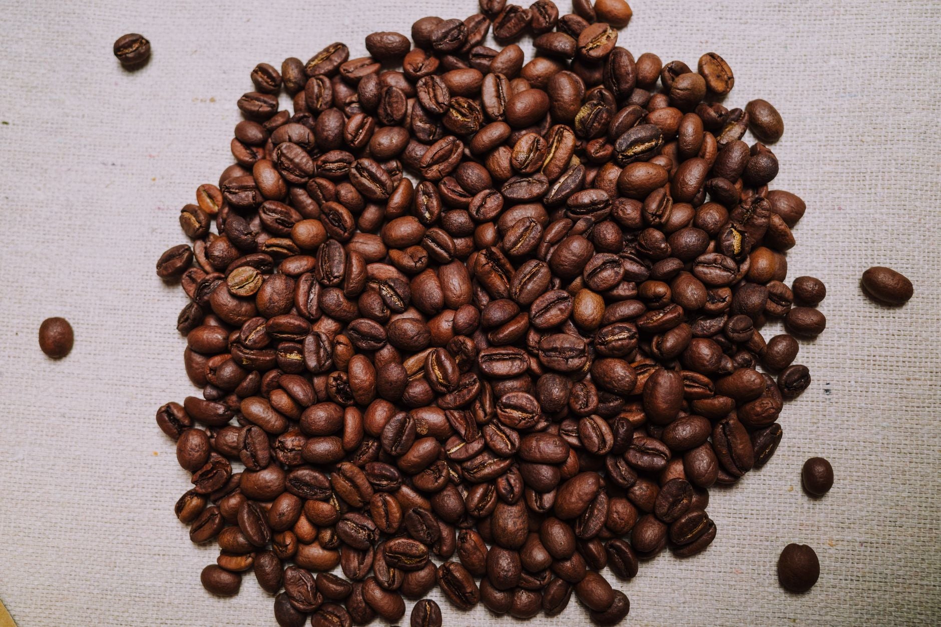 Medium Roast vs. Dark Roast: Finding Your Perfect Flavor Profile