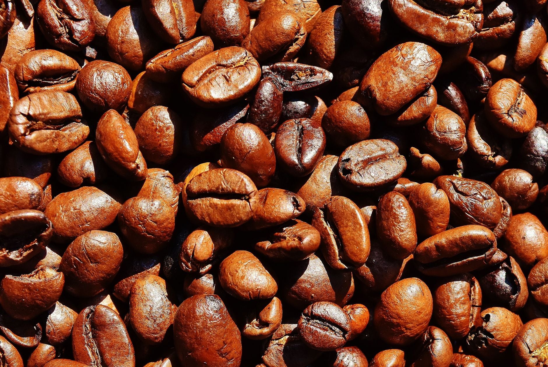 What Is 'Zero Bitterness' Coffee and Where Can You Find It?
