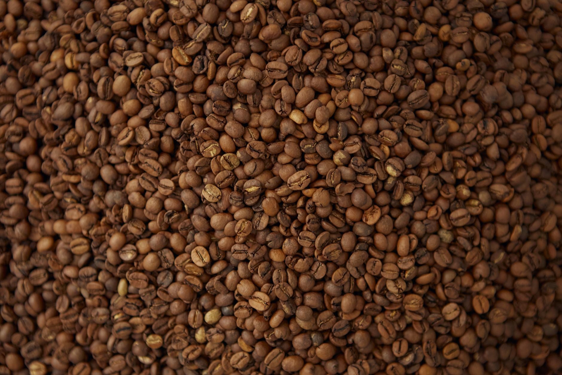 How to Get Rich Coffee Flavor Without Any Bitterness