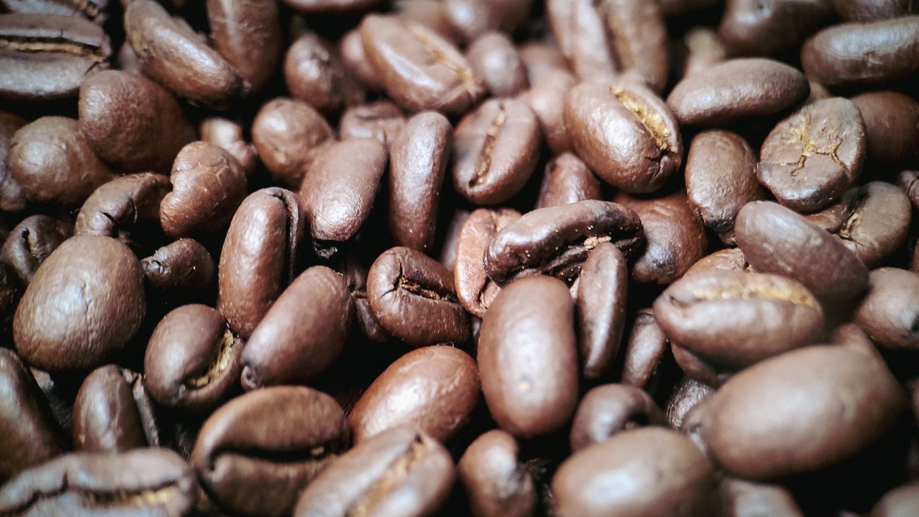The Future of Morning Brews: Why Adventure Coffee Is Trending