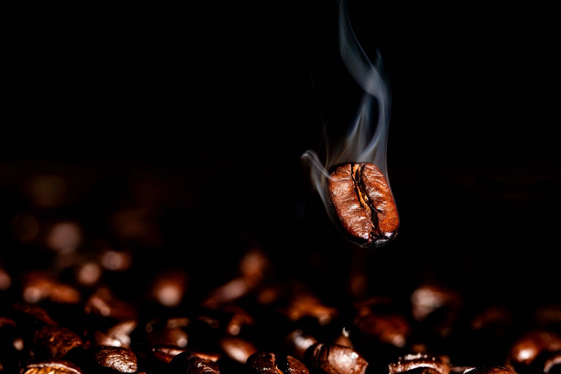 Tired of Acidic Coffee? Try These Gentle, Stomach-Friendly Brews