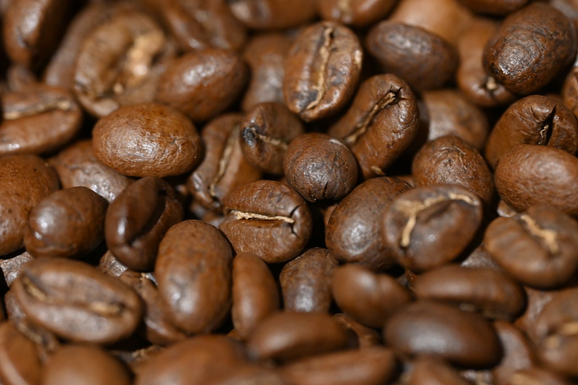 Why Is My Coffee Always Bitter? (And How to Fix It)