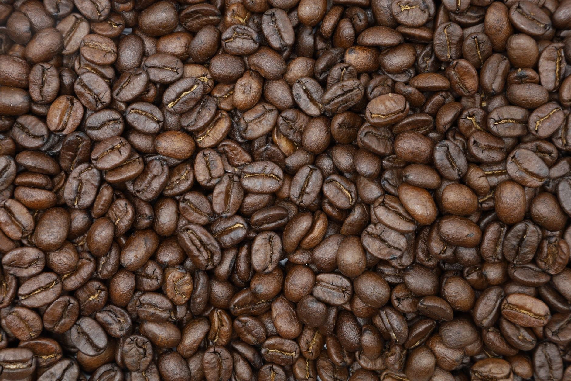 Bad Camp Coffee? How to Elevate Your Brew in the Great Outdoors