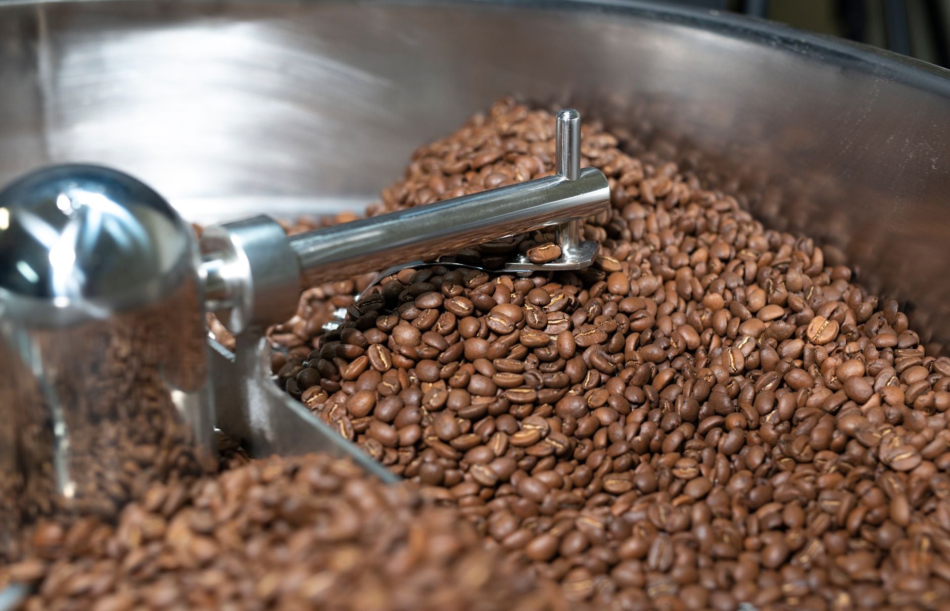 Can I Use Pre-Ground Coffee for a Pour-Over? A Quick Guide