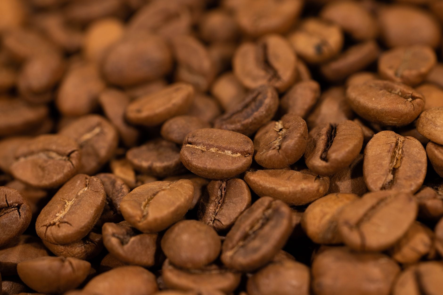 How to Brew Perfectly Smooth Coffee Every Single Time