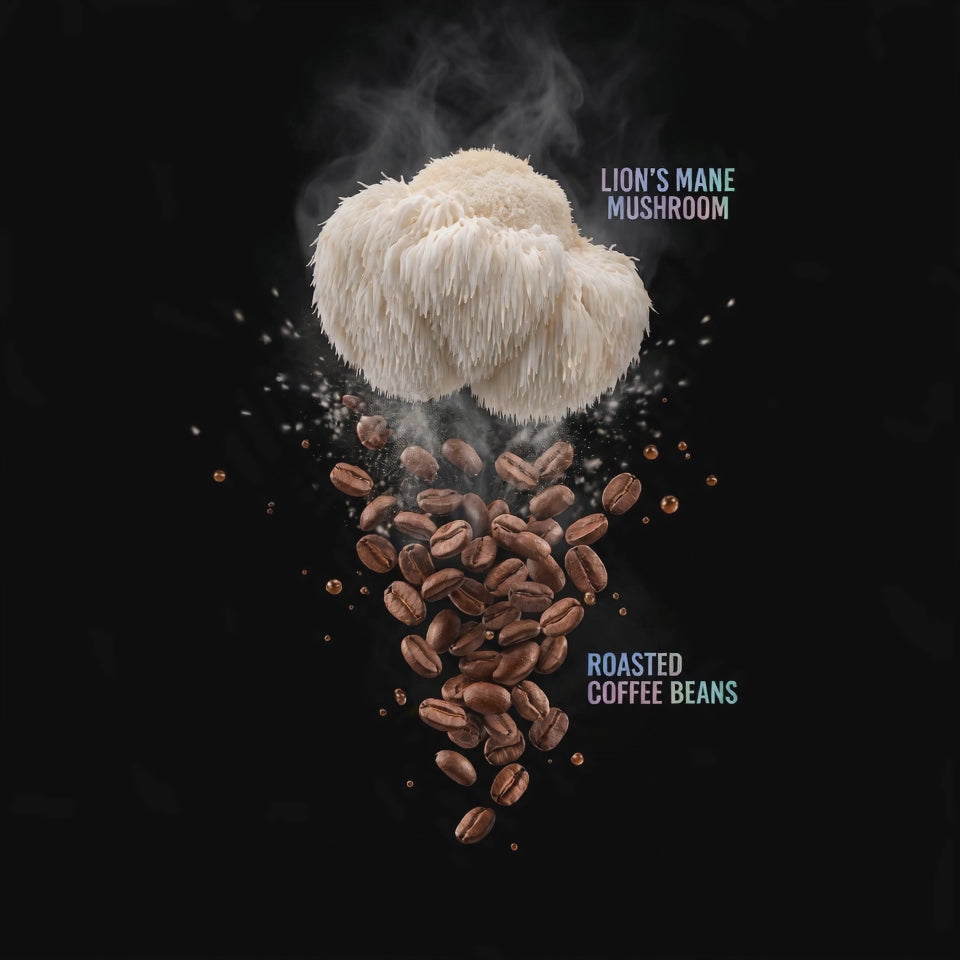 Lion's Mane Mushroom Coffee Bundle Main image